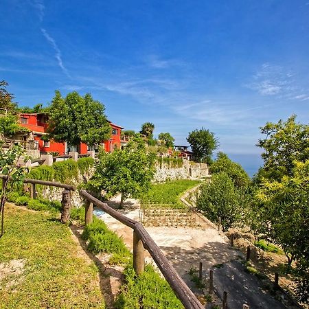 Agriturismo Pera Di Basso Casamicciola Terme Exteriör bild