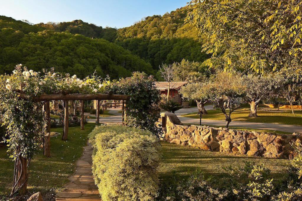 Agriturismo Pera Di Basso Casamicciola Terme Exteriör bild