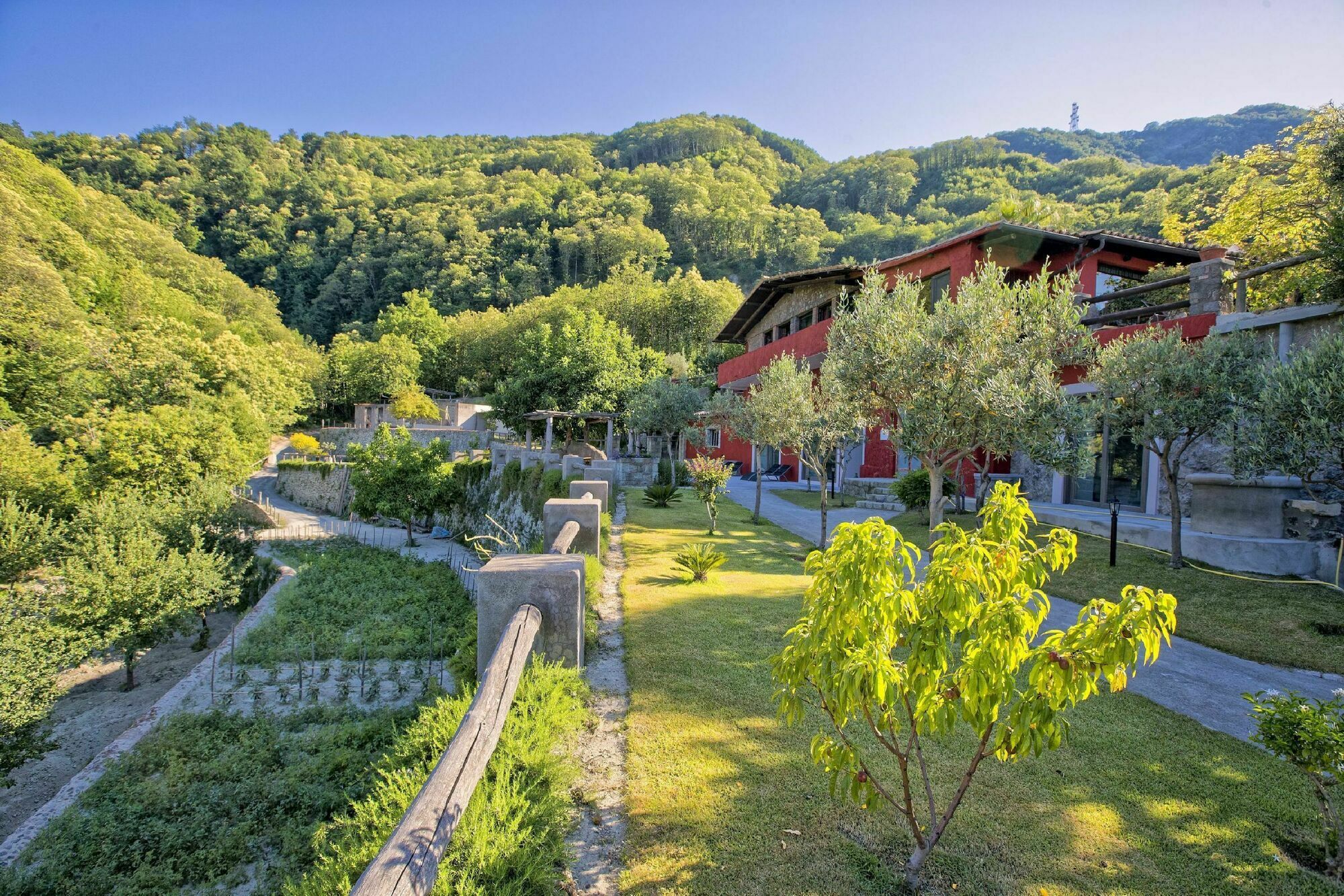Agriturismo Pera Di Basso Casamicciola Terme Exteriör bild